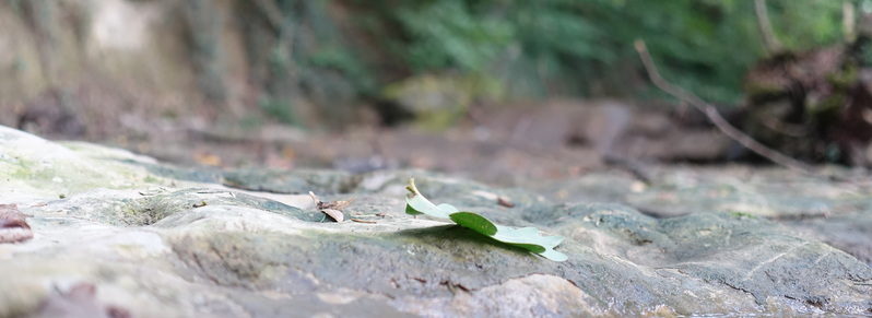 Information Architecture